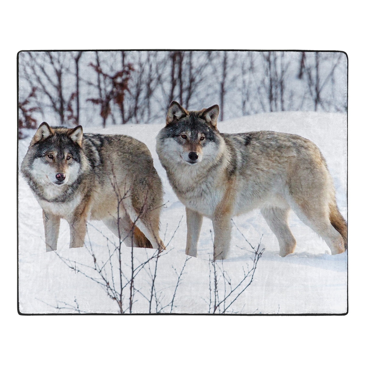 Picture of Northwest 1GEN-07000-0043-RET 50 x 60 in. Winter Wolves Raschel Throw Blanket
