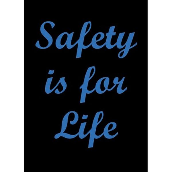 194SFL46BL 4 x 6 ft. Safety for Life Vertical Floor Mat, Black