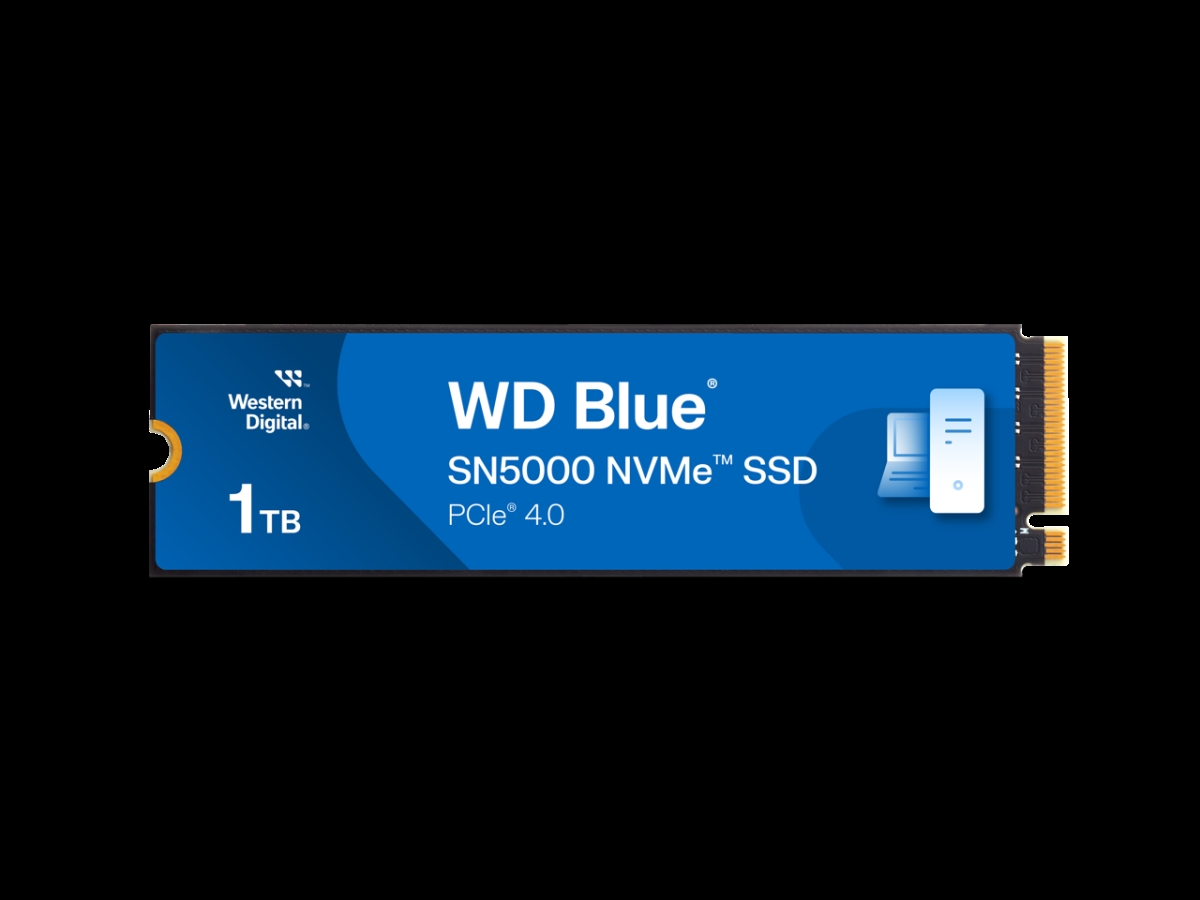 WDS100T4B0E 1 TB Blue SN5000 NVMe PCIe Gen 4.0 Internal Solid State Drive