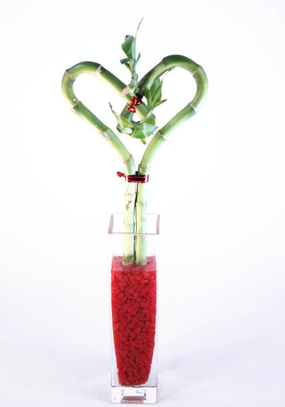 Picture of Athenas Garden BA-HS08-CG001-RRSM 10 in. Single Heart Bamboo - Glass Block Bud Vase