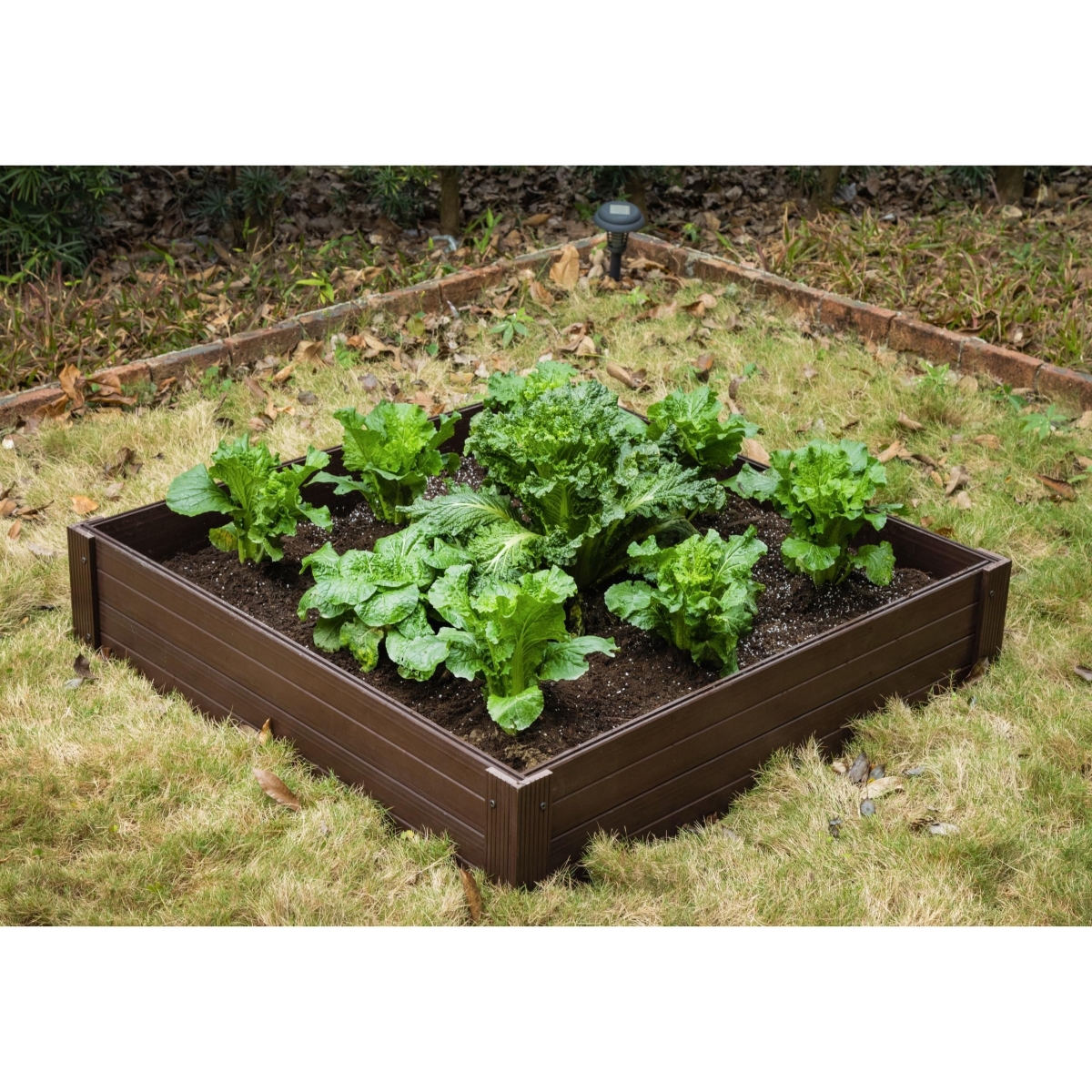 Age Pet RGGGB46-09S 4 x 4 ft. Ecoflex Square Garden Bed, Walnut