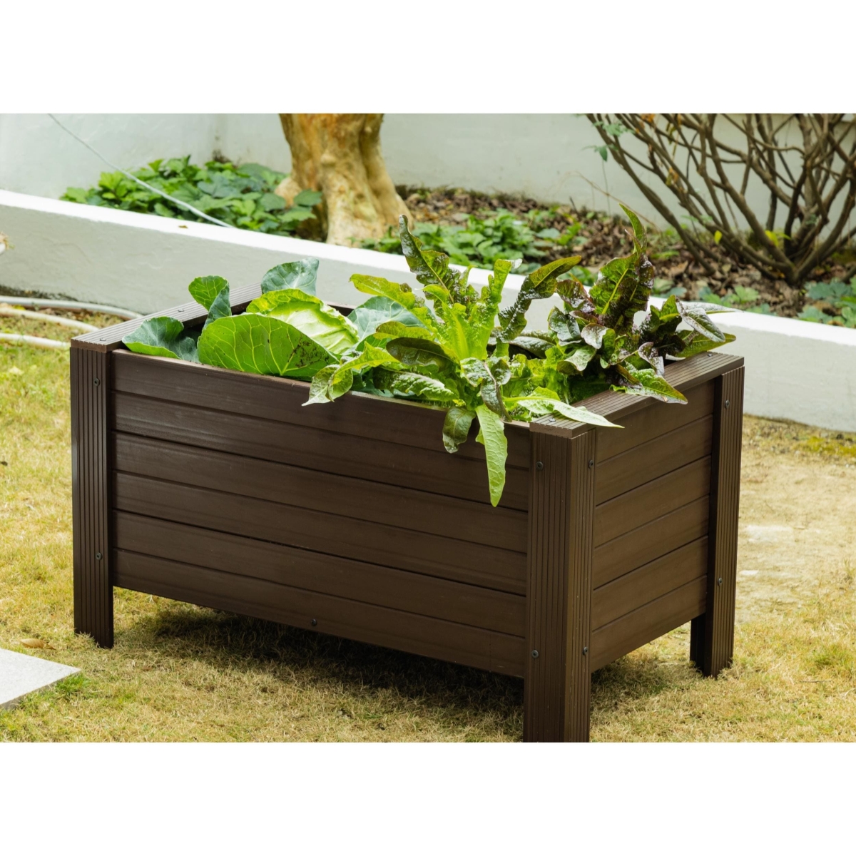 Age Pet RGGRP42-09-36 36 in. Ecoflex Rectangular Planter, Walnut