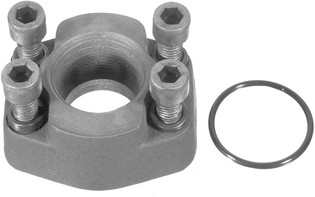 B919667 2 in. 4 Bolt Flange Adapter Kit