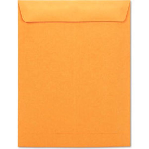B32810 20 lbs Lightweight Kraft Catalog Envelopes, Gummed - 10 x 13 in. - 250 per Box