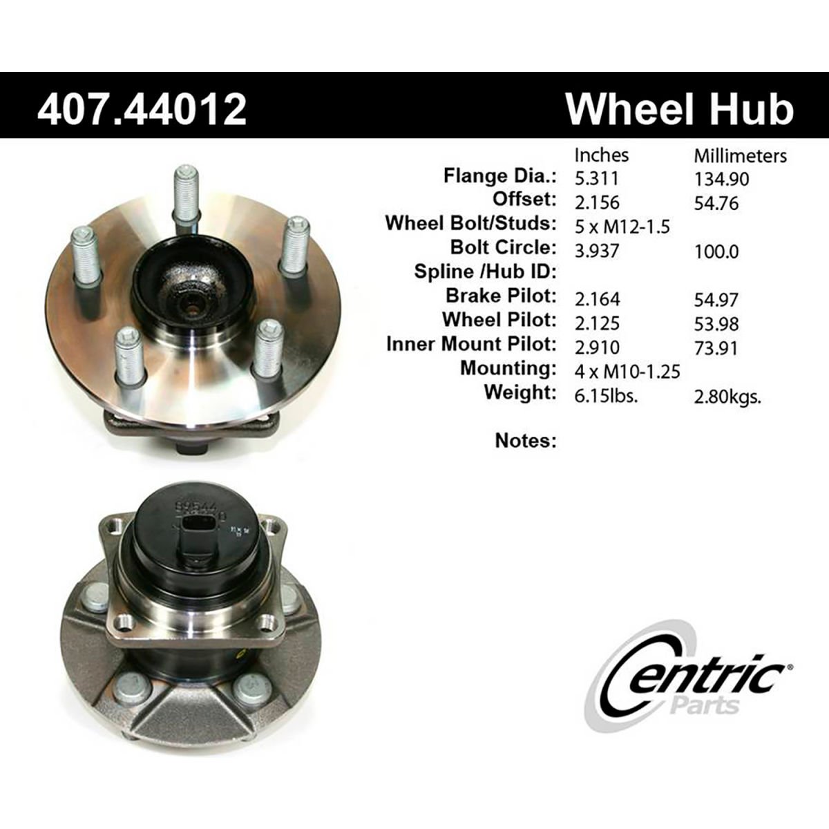 World Centric B2675004