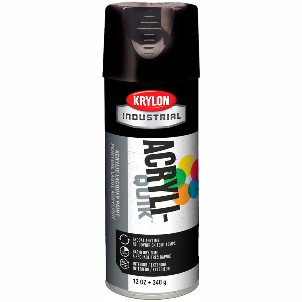 B37838 Interior-Exterior Paint, Gloss Black - Case of 6