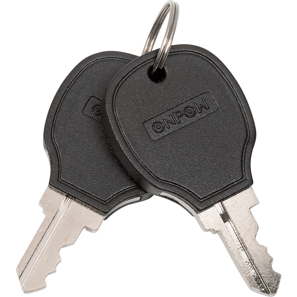 Global Industrial RP6494 Replacement Keys for Global Floor Scrubbers & Sweepers