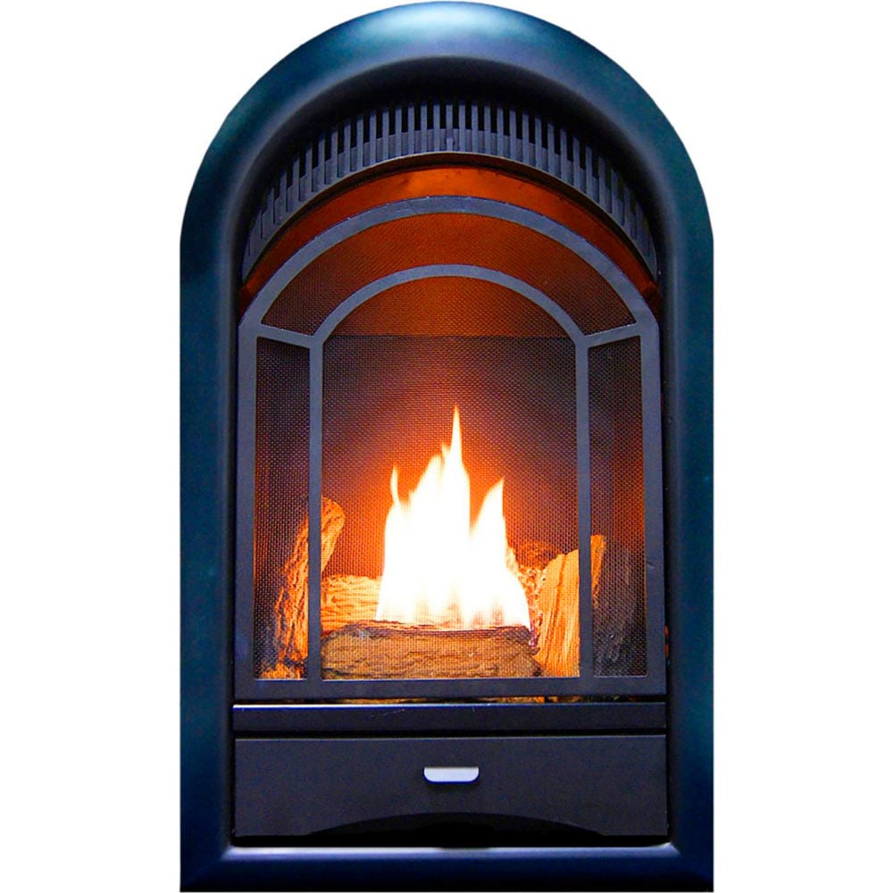 Picture of Bluegrass Living B3082782 ProCom Dual Fuel Ventless Gas Fireplace - Insert Arched Door 15000 BTU T-Stat Control