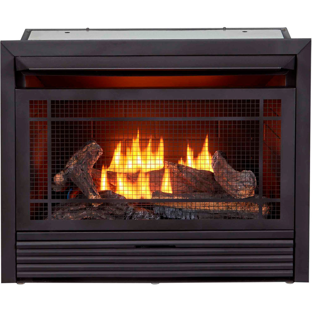 Picture of Bluegrass Living B3082755 Duluth Forge Dual Fuel Ventless Gas Fireplace Insert 26000 BTU T-Stat Control