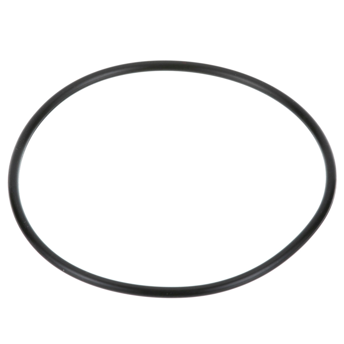B1440031 O-Ring for Everpure - EVE151120 - Pack of 6