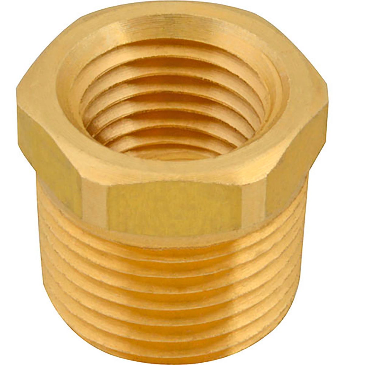 Picture of AllPoints B2948210 0.375 x 0.25 in. NPT 1171028 Bushing - Hex