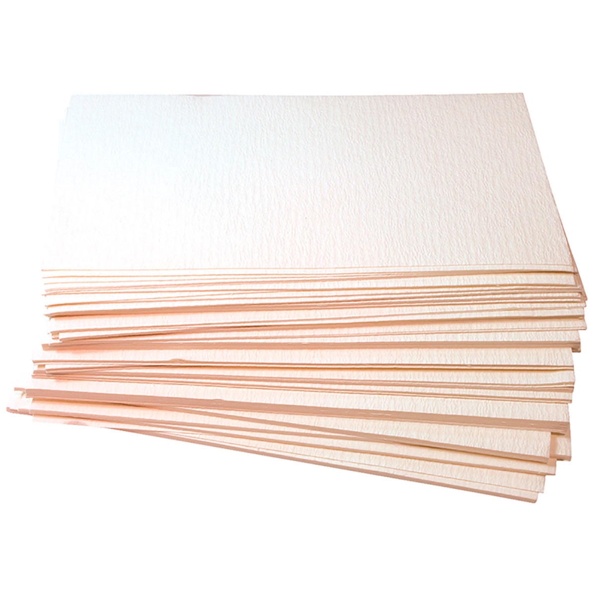 B2951449 851290 Hot Oil Filter Sheet - 100 Count