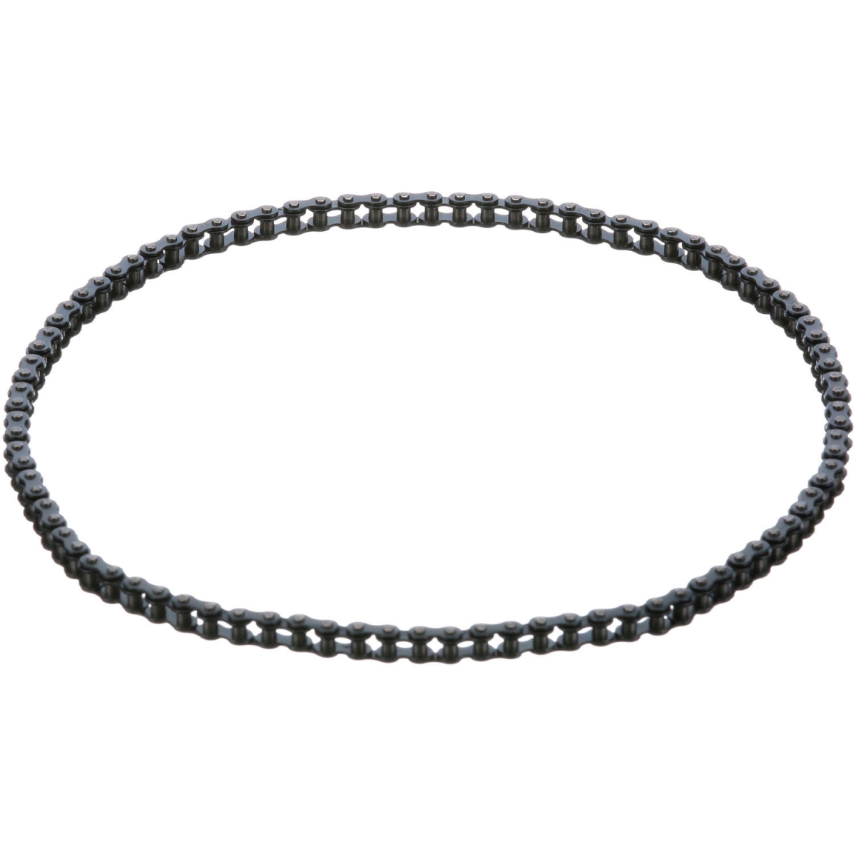 B2952392 8012575 Drive Chain for Roundup Food Equipment