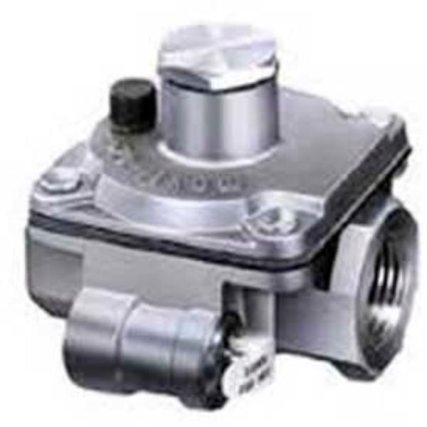 B859601 0.5 in. Poppet Type Regulator RV48-1-2 - Up To 250000 BTU - Silver