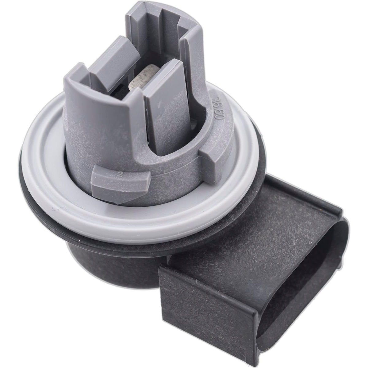 B2491576 Stop Turn & Taillight Socket
