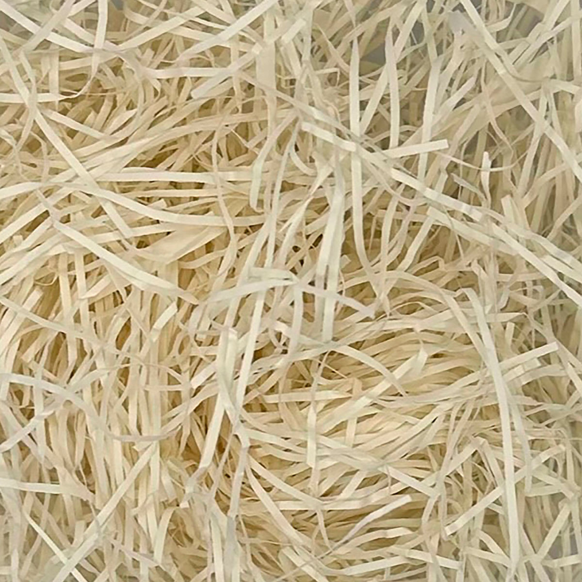B3203837 Very Fine Shredded Paper, Ivory & White