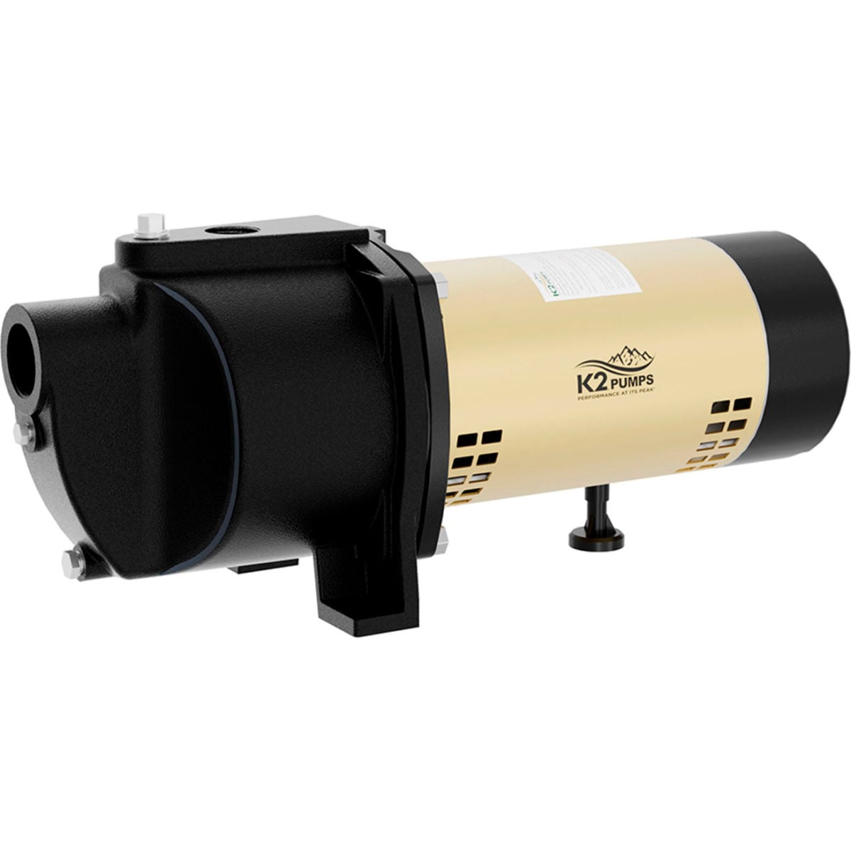 B3191225 0.5 HP Cast Iron Shallow Well Jet Pump, 14.5 GPM - Black