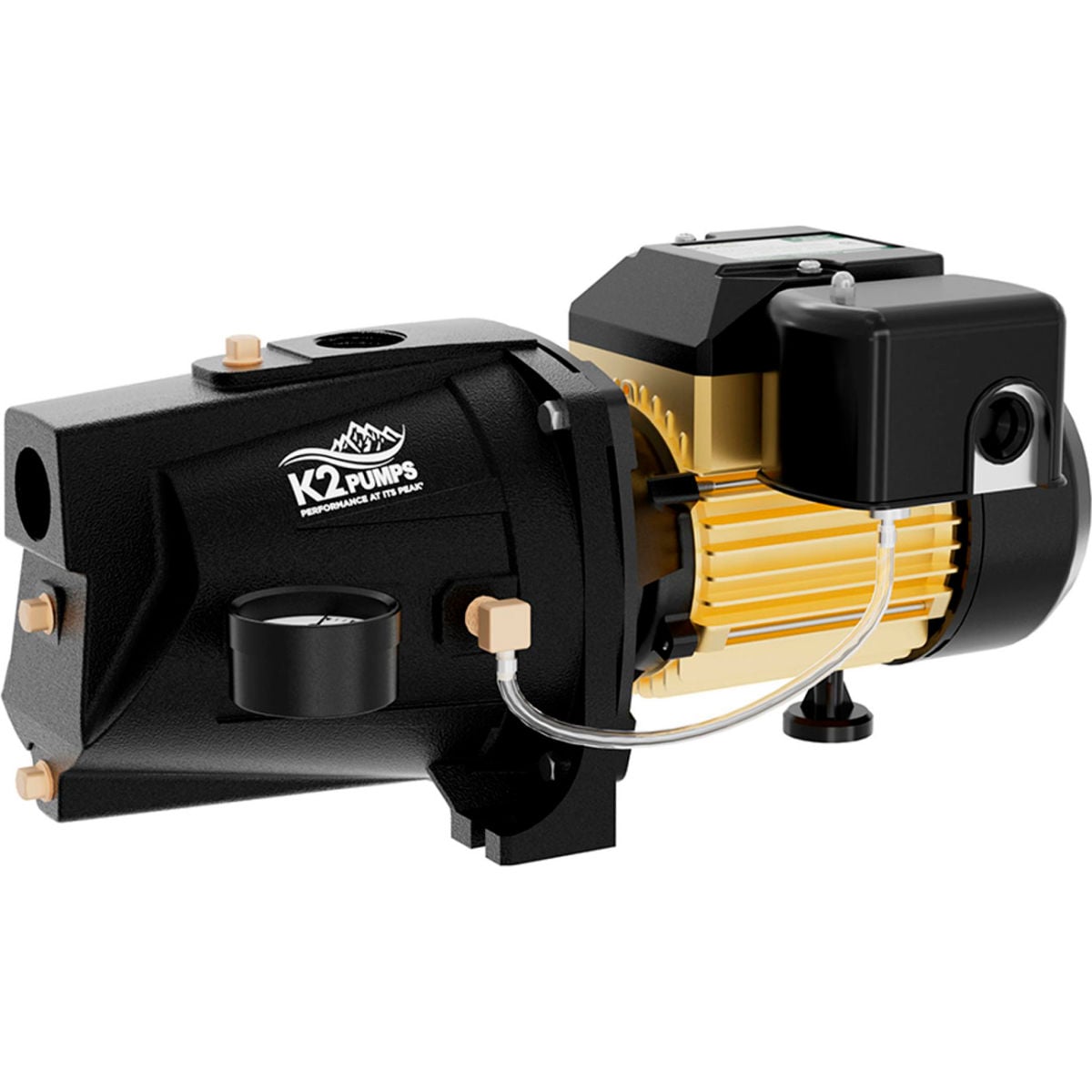 B3191286 0.75 HP Cast Iron Shallow Well Jet Pump, 9.2 GPM - Black