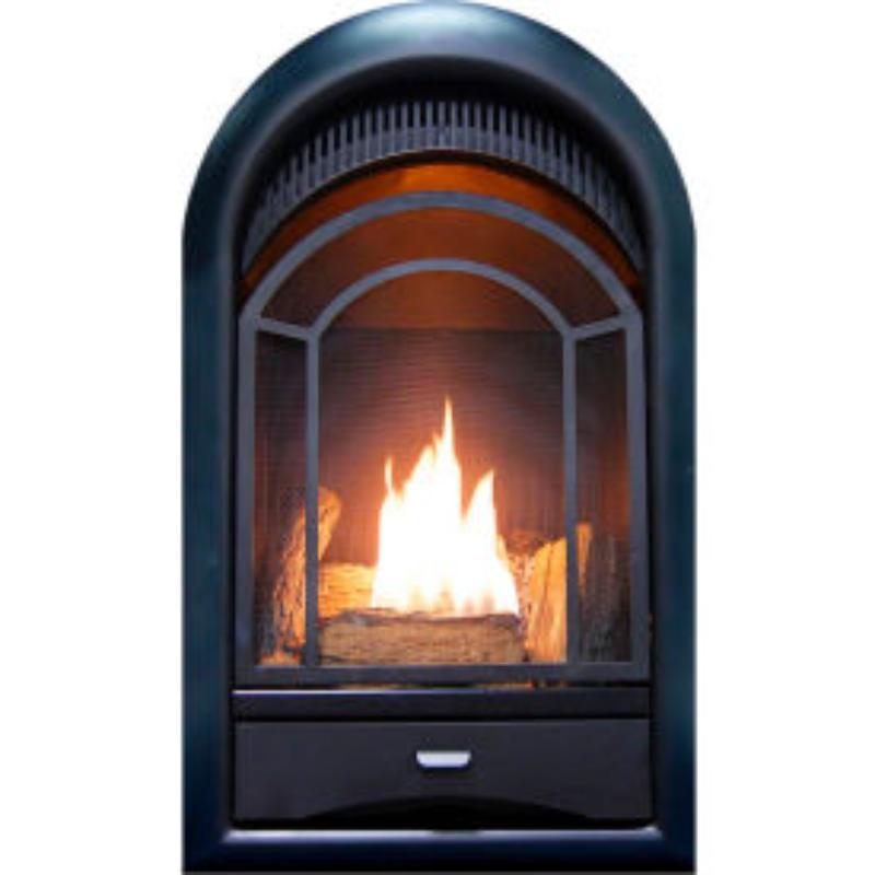 B3082781 ProCom Dual Fuel Ventless Gas Fireplace Insert, Arched Door - 10000 BTU - T-Stat Control, Black