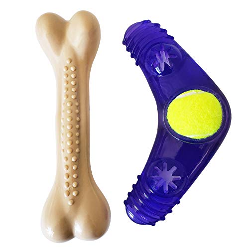 Picture of OCI 318 American Pet Large Nylon Bone Boomerang Tennis Ball Toy Set for Dog