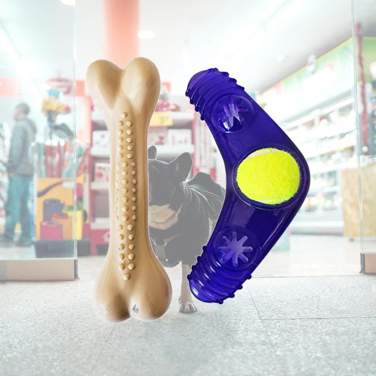 Picture of OCI 318 American Pet Large Nylon Bone Boomerang Tennis Ball Toy Set for Dog