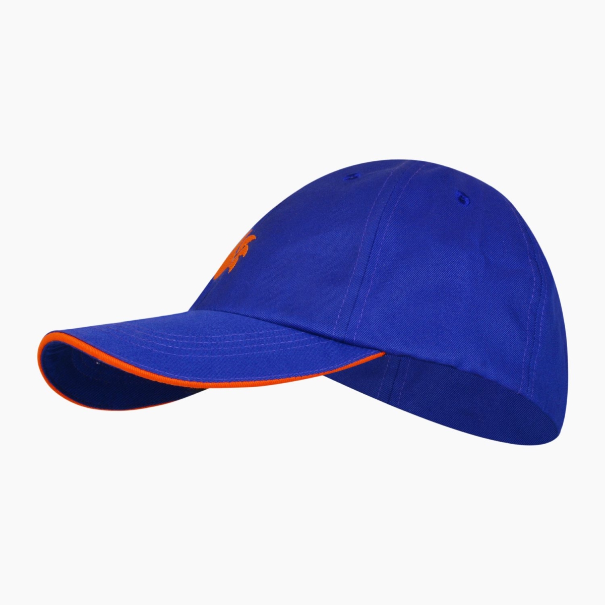 DSC 1500742 Attitude Cricket Cap - Royal Blue