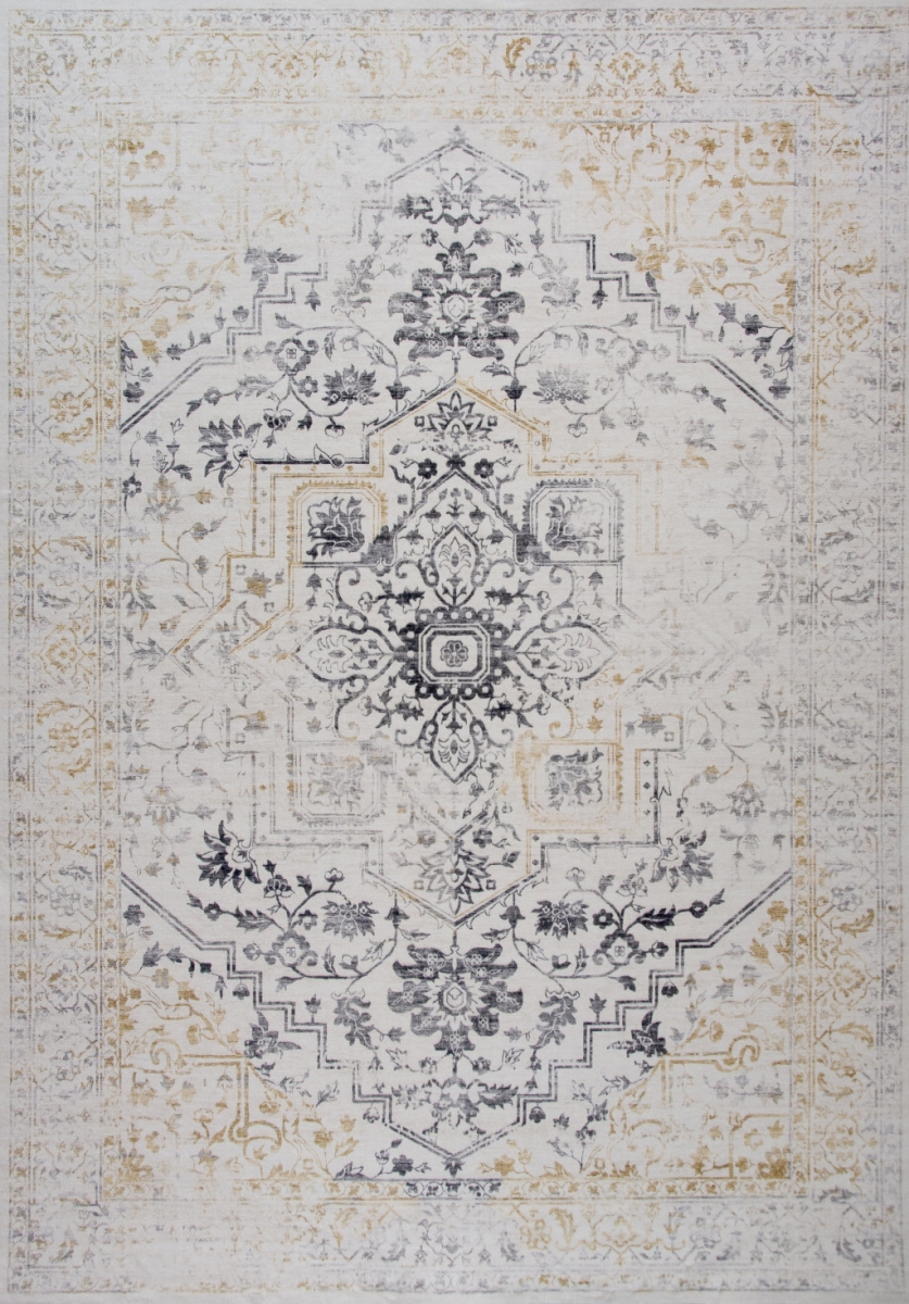 4 x 6 ft. Oriental Contemporary Rectangle Area Rug, Gray & Gold