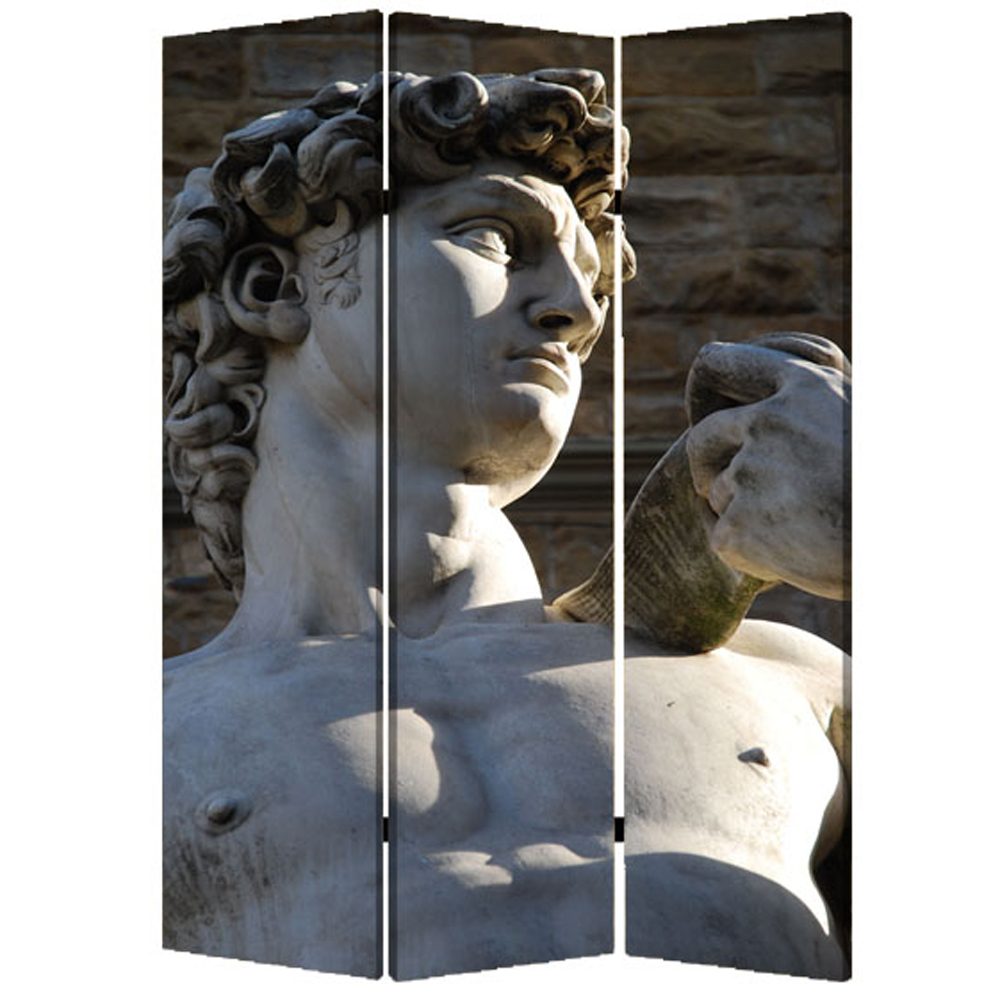 274866 48 x 72 in. Multi Color Wood Canvas Rome Screen