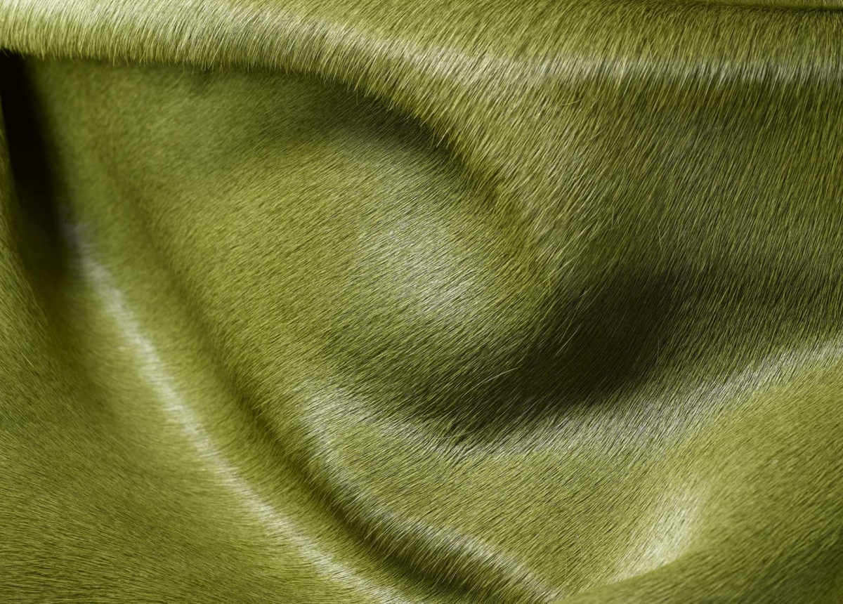 5 x 7 in. Cowhide Rug - Lime