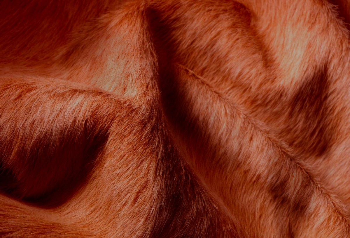 317313 5 x 7 in. Cowhide Rug - Brown