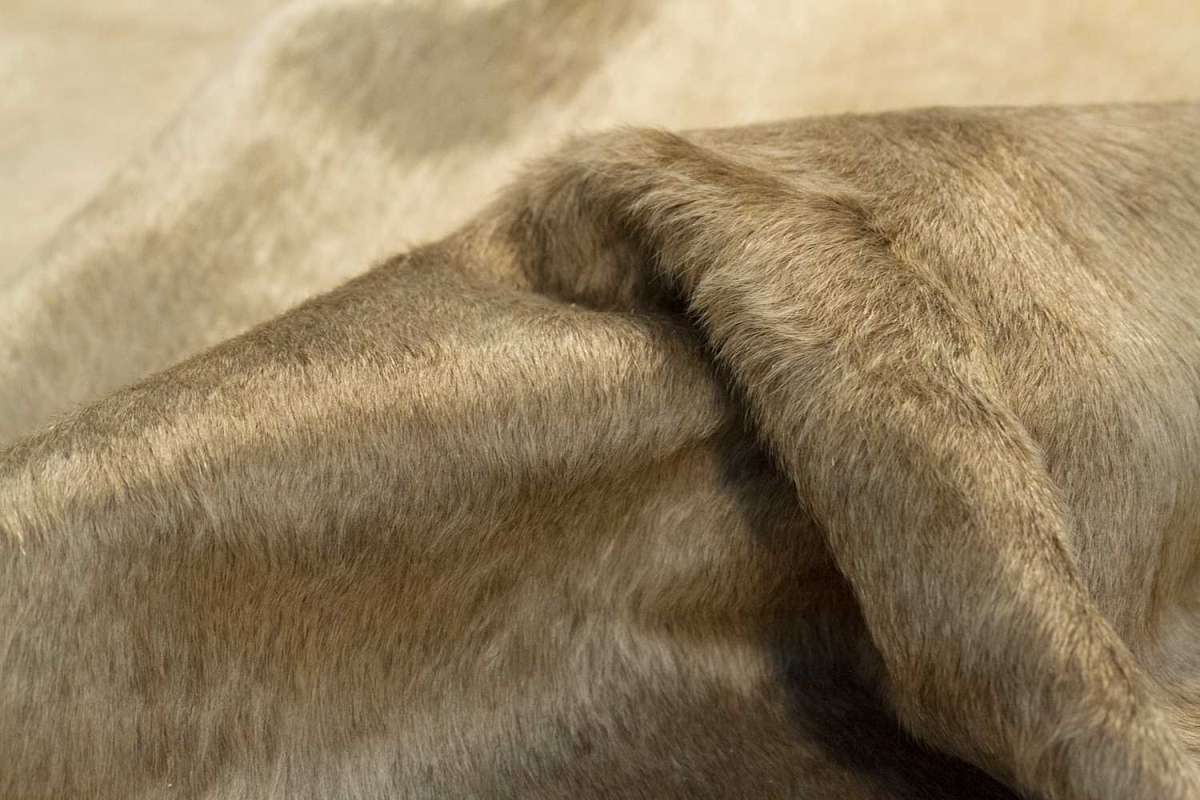 5 x 7 in. Cowhide Rug - Taupe