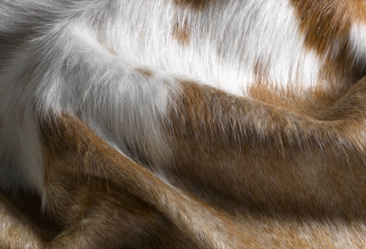 317316 5 x 7 in. Cowhide Rug - Brown & White