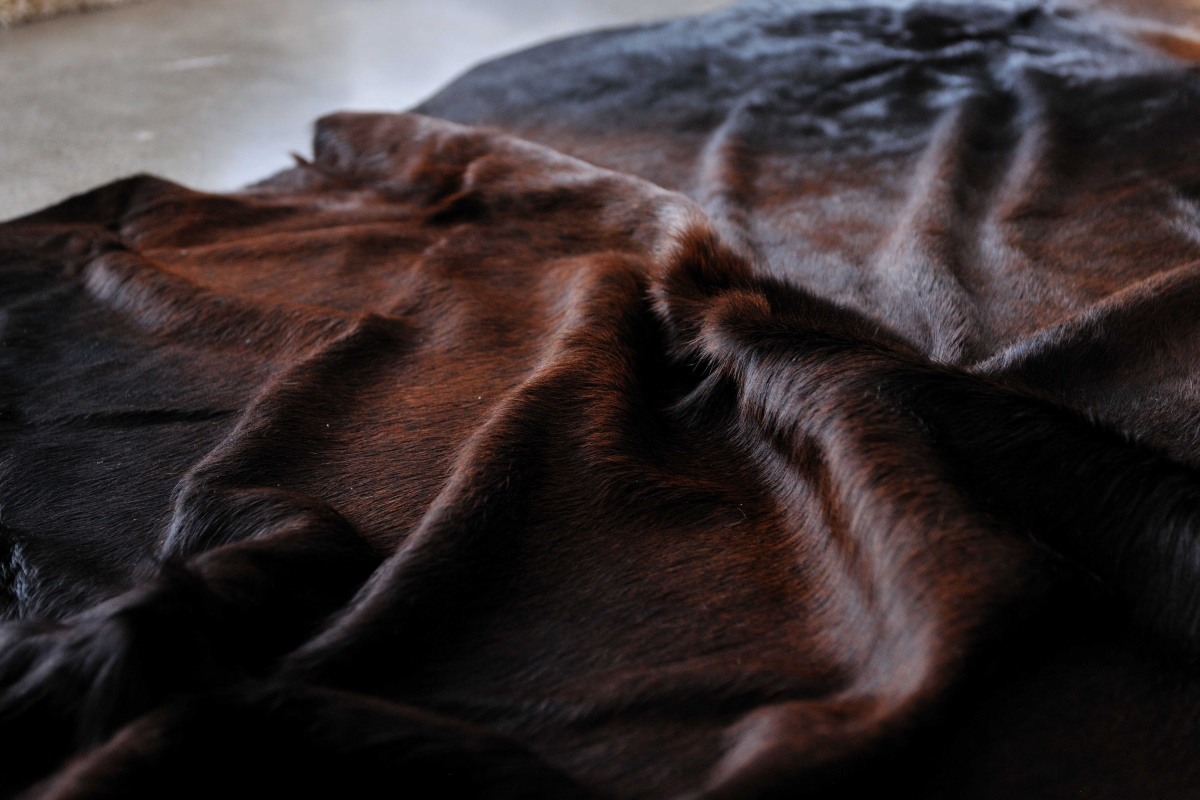 317317 5 x 7 in. Cowhide Rug - Normand