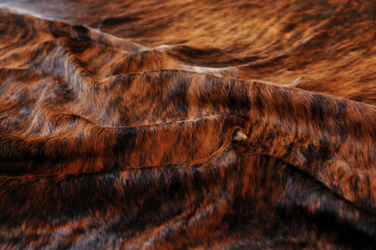 5 x 7 in. Cowhide Rug - Brindle