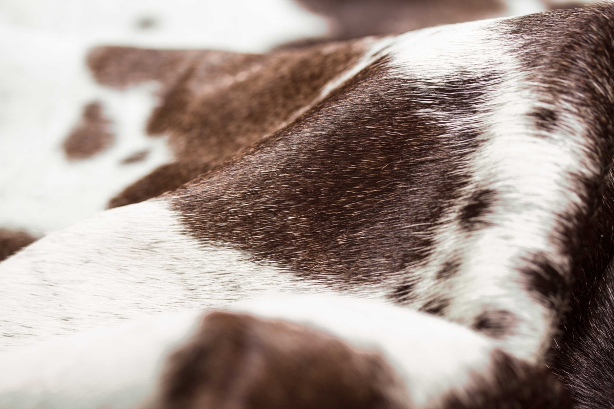 5 x 7 in. Cowhide Rug - Salt, Pepper Brown & White