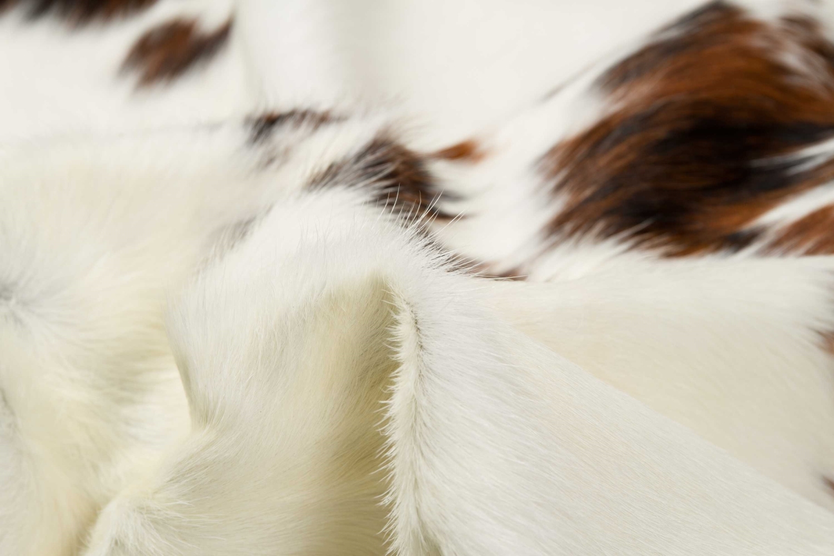 5 x 7 in. Cowhide Rug - Tricolor