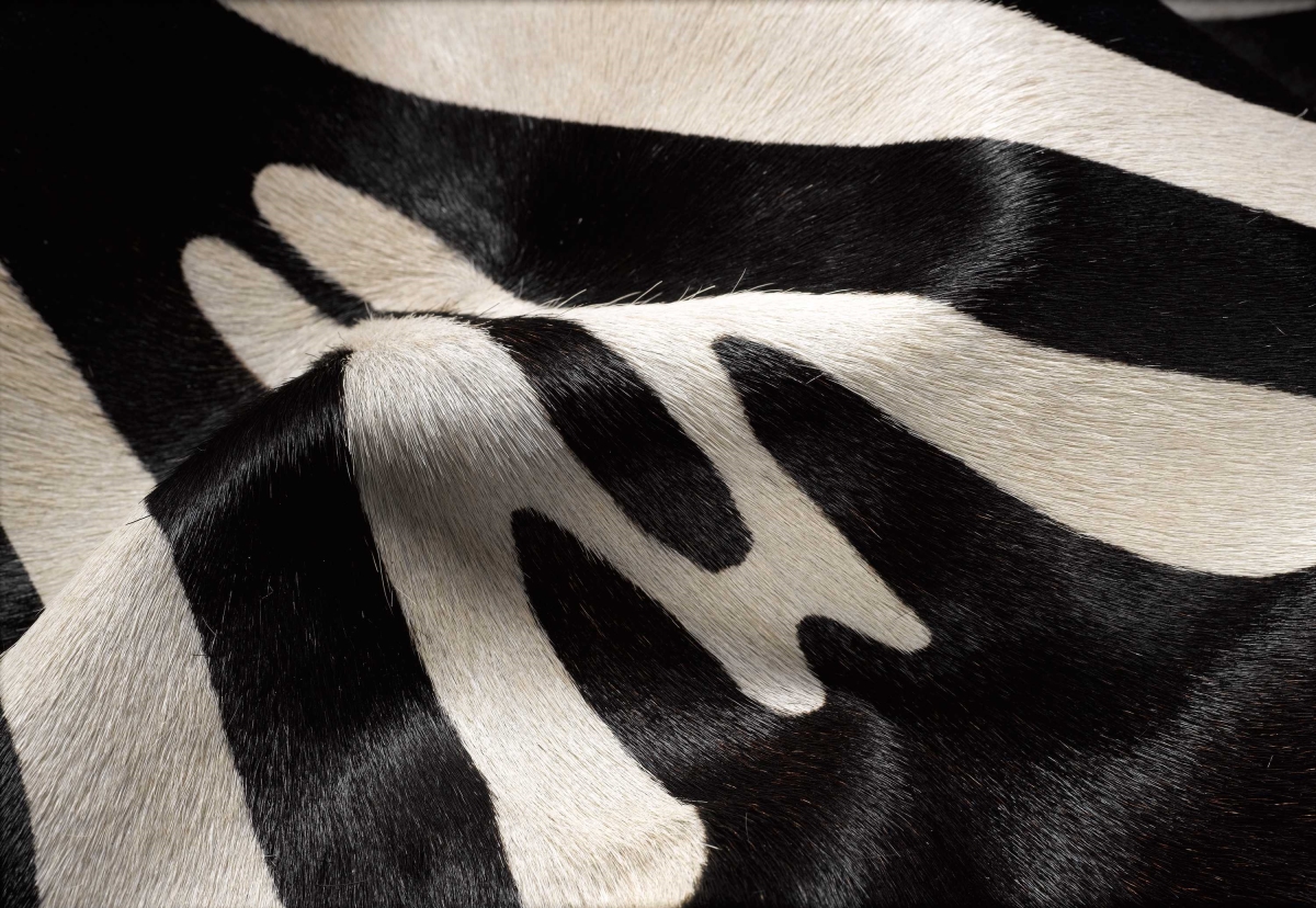 317329 5 x 7 in. Cowhide Rug - Zebra Black On Off White
