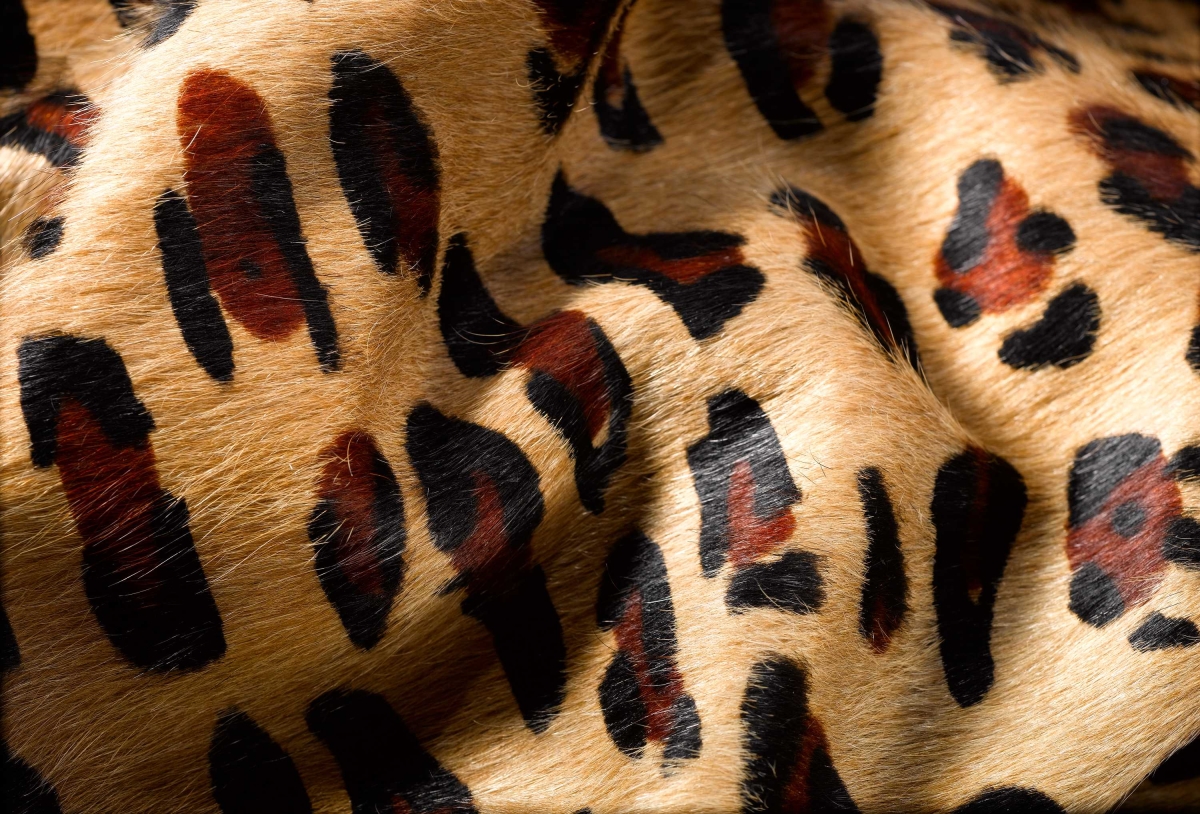 317331 5 x 7 in. Cowhide Rug - Leopard
