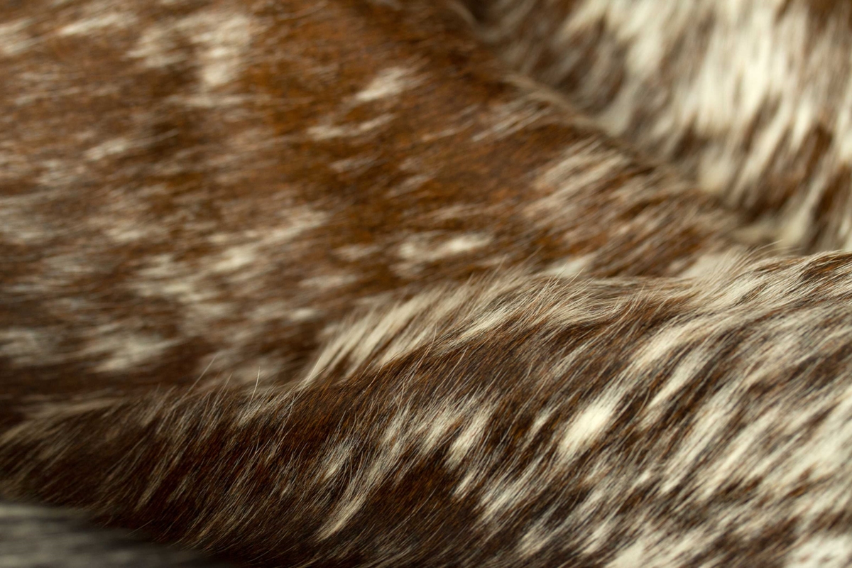 Salt & Pepper Cowhide Rug - White