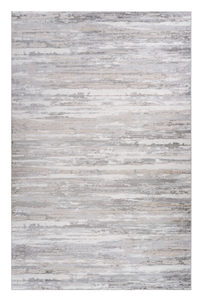558956 4 x 6 ft. Abstract Distressed Rectangle Area Rug, Gray & Beige