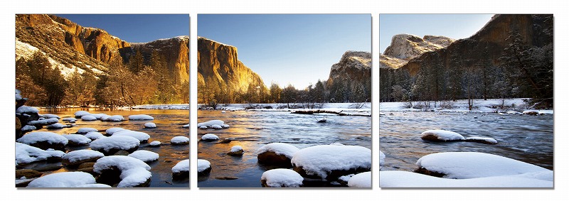 3-Panel Photo On Canvas