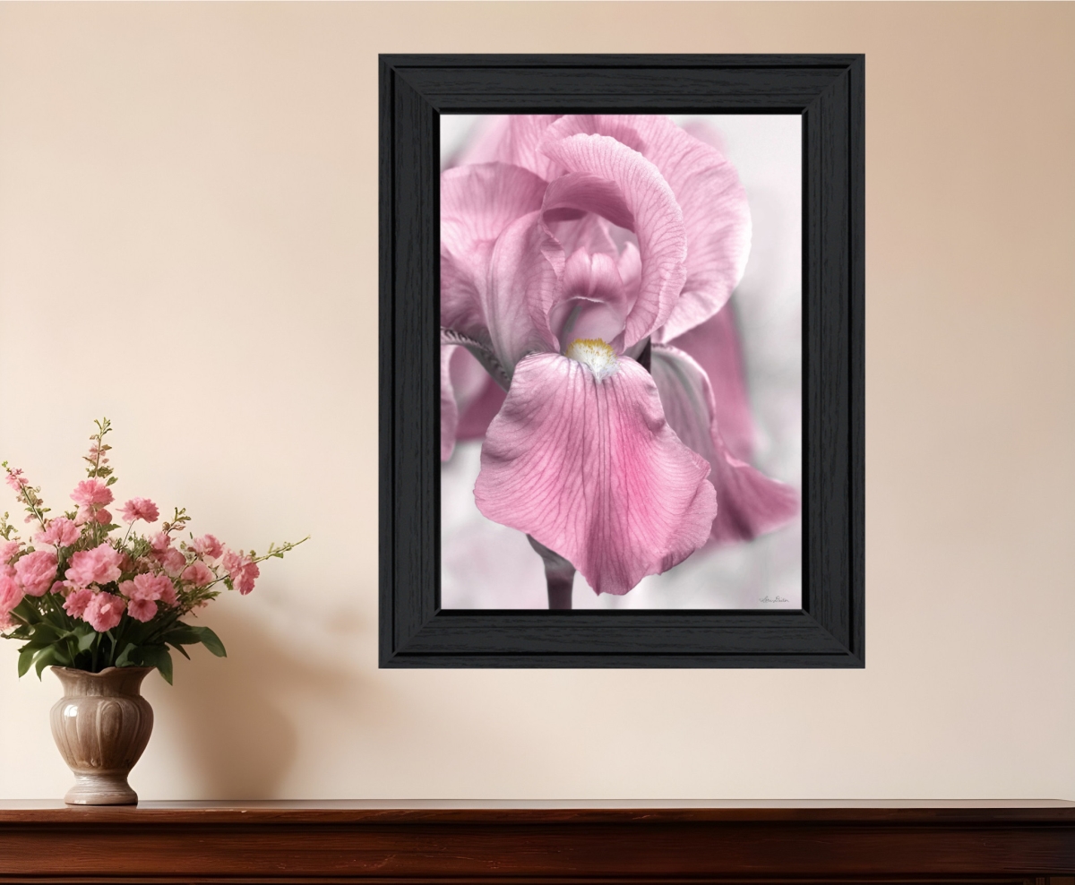 530020 Modern Pink Iris Black Framed Print Wall Art