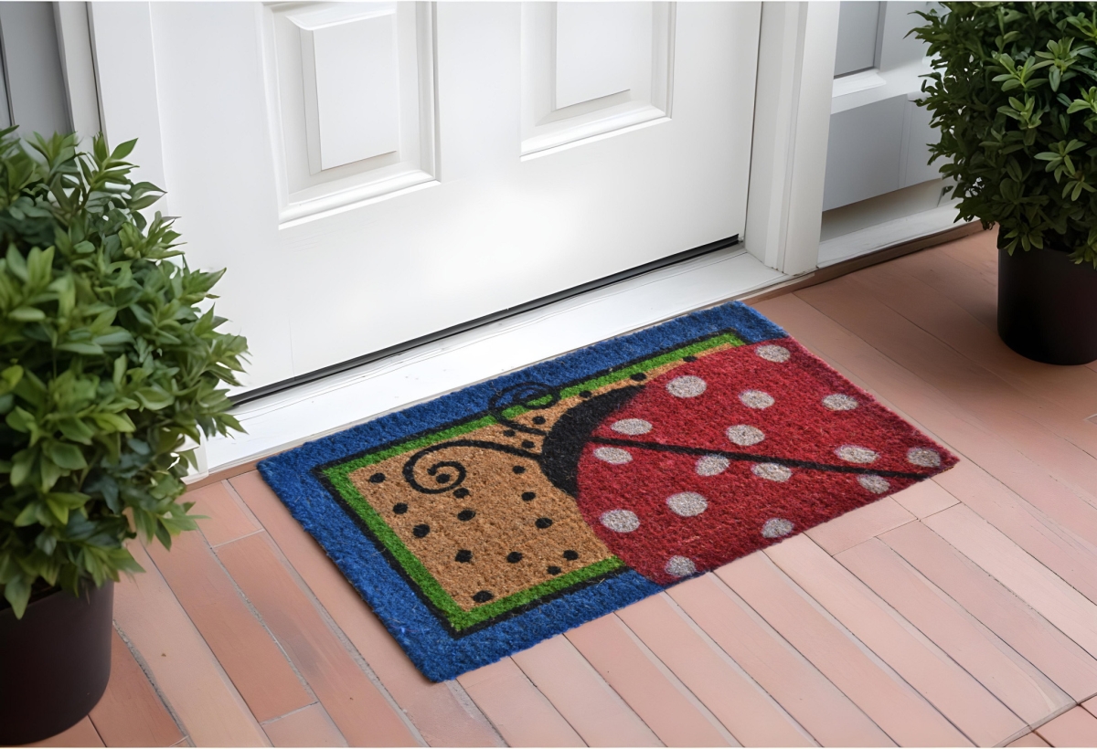 Ladybug Coir Outdoor Door Mat - Blue & Brown - 18 x 30 in. - Durable & Eco-Friendly