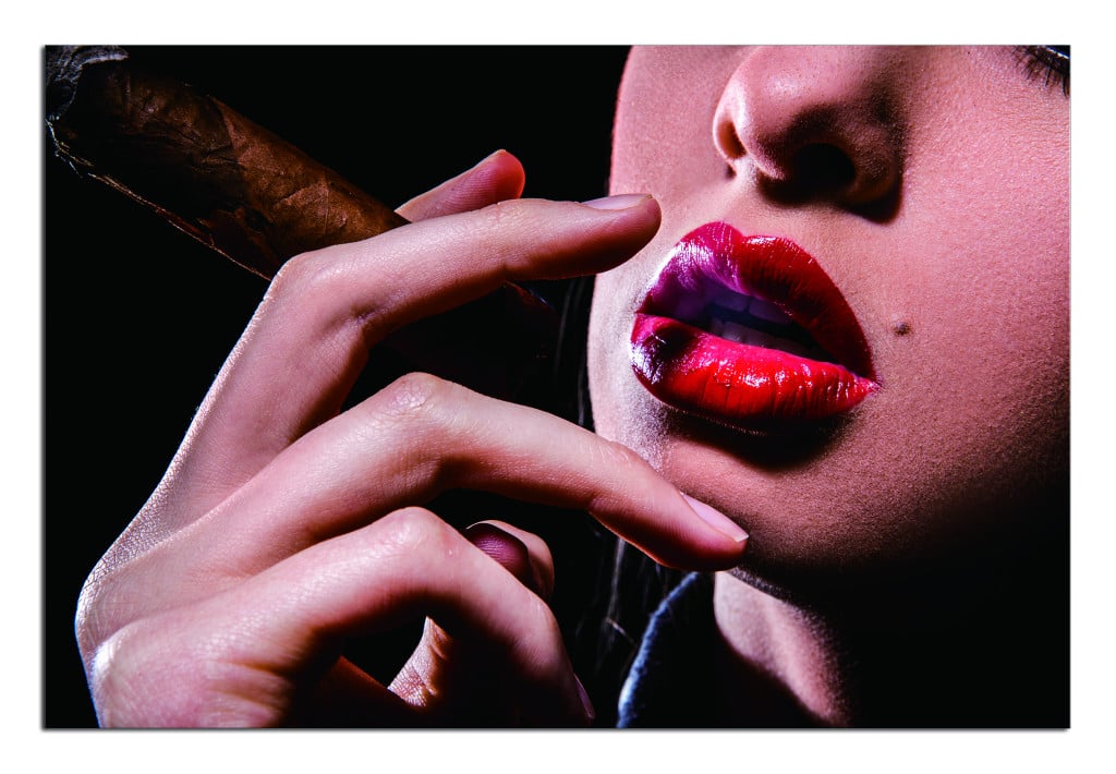 Picture of HomeRoots 571440 Seductive Woman with Cigar Unframed Acrylic Wall Art