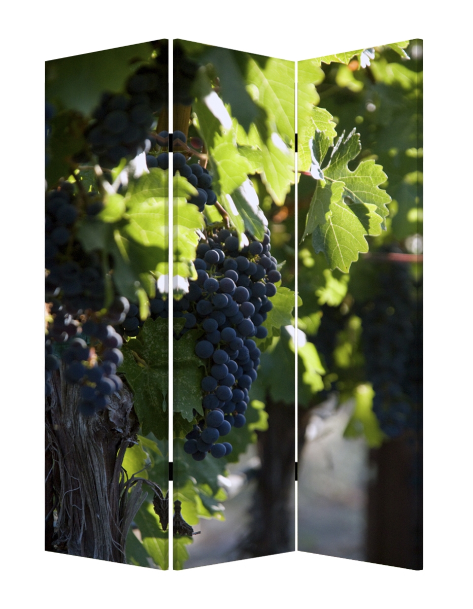 Home Decor Wine Country Screen