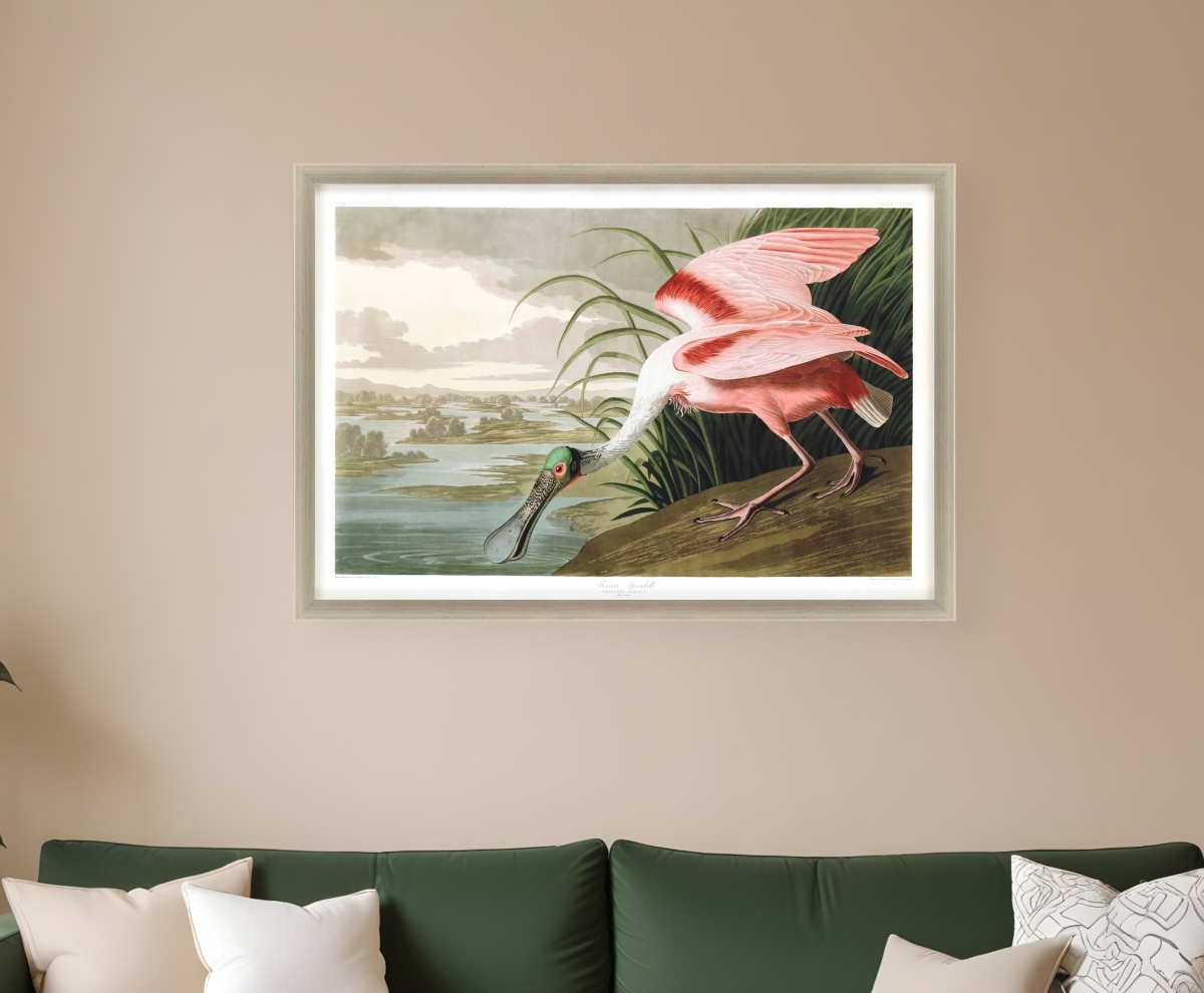 525276 Roseate Spoonbill Silver Framed Print Wall Art