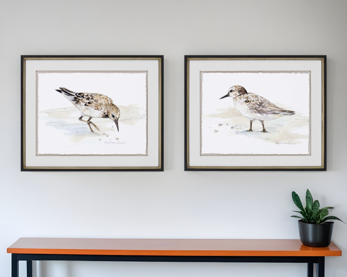 525081 Sandpiper Black Framed Print Wall Art, Set of 2