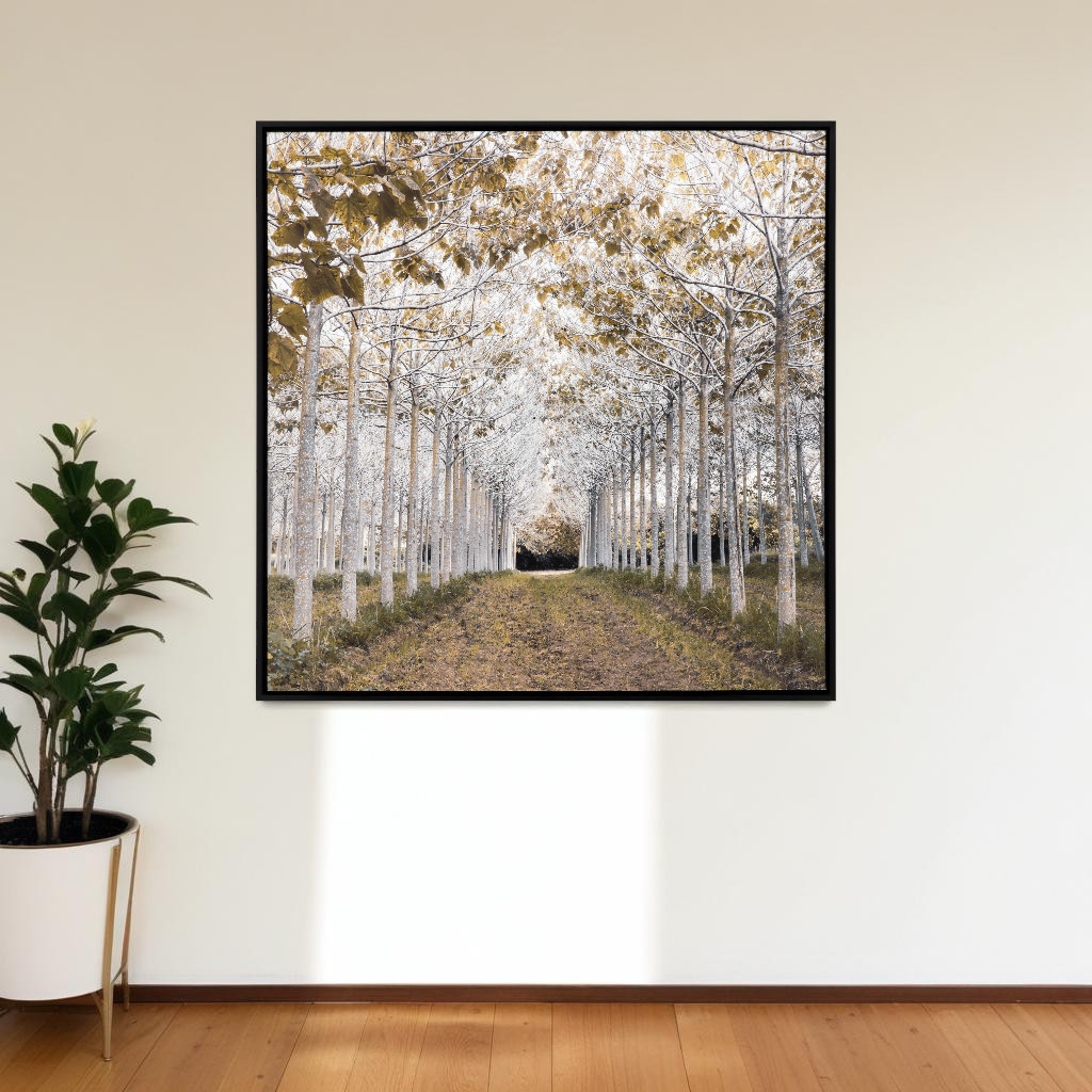 416477 White Gold Canvas Black Floater Frame Print Wall Art