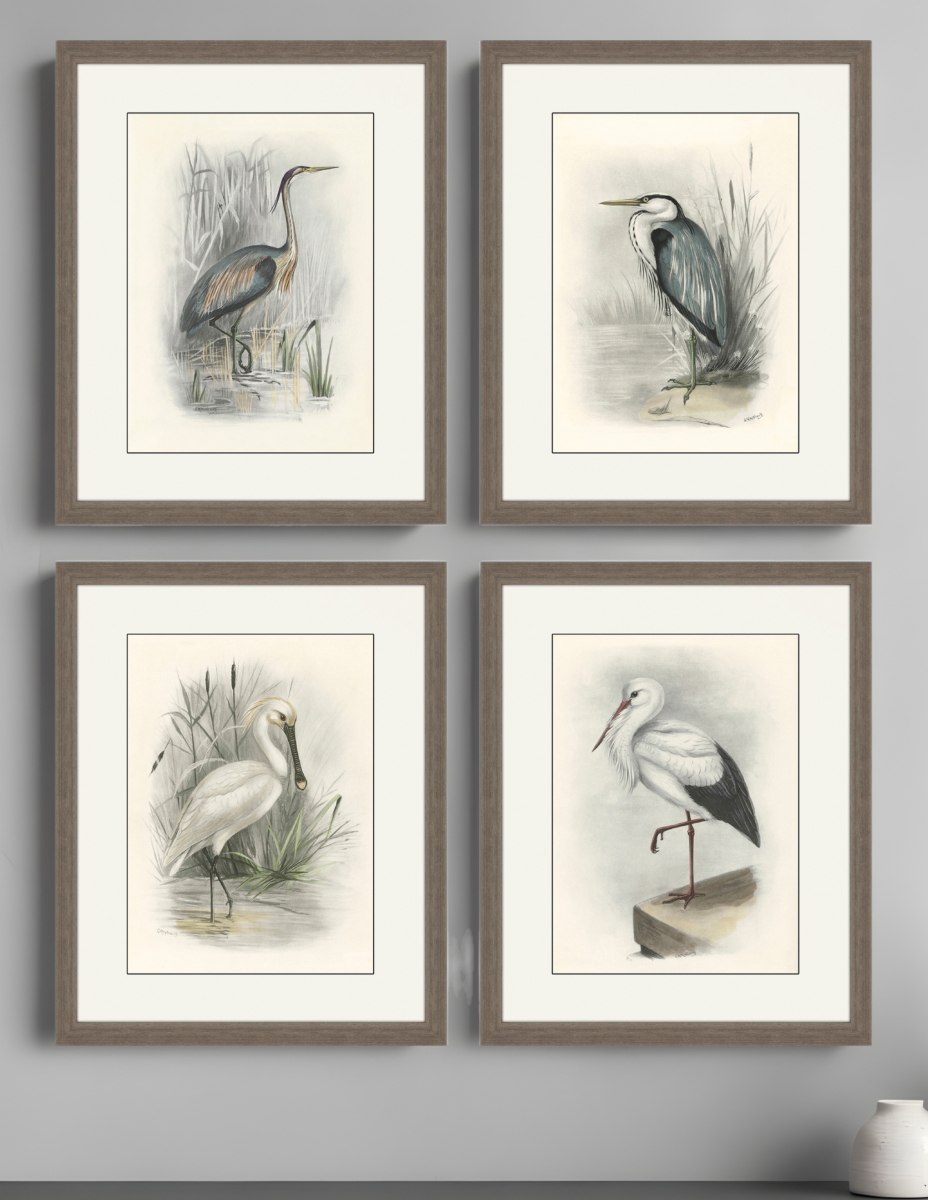 526004 Birds Brown Framed Print Wall Art, Set of 4