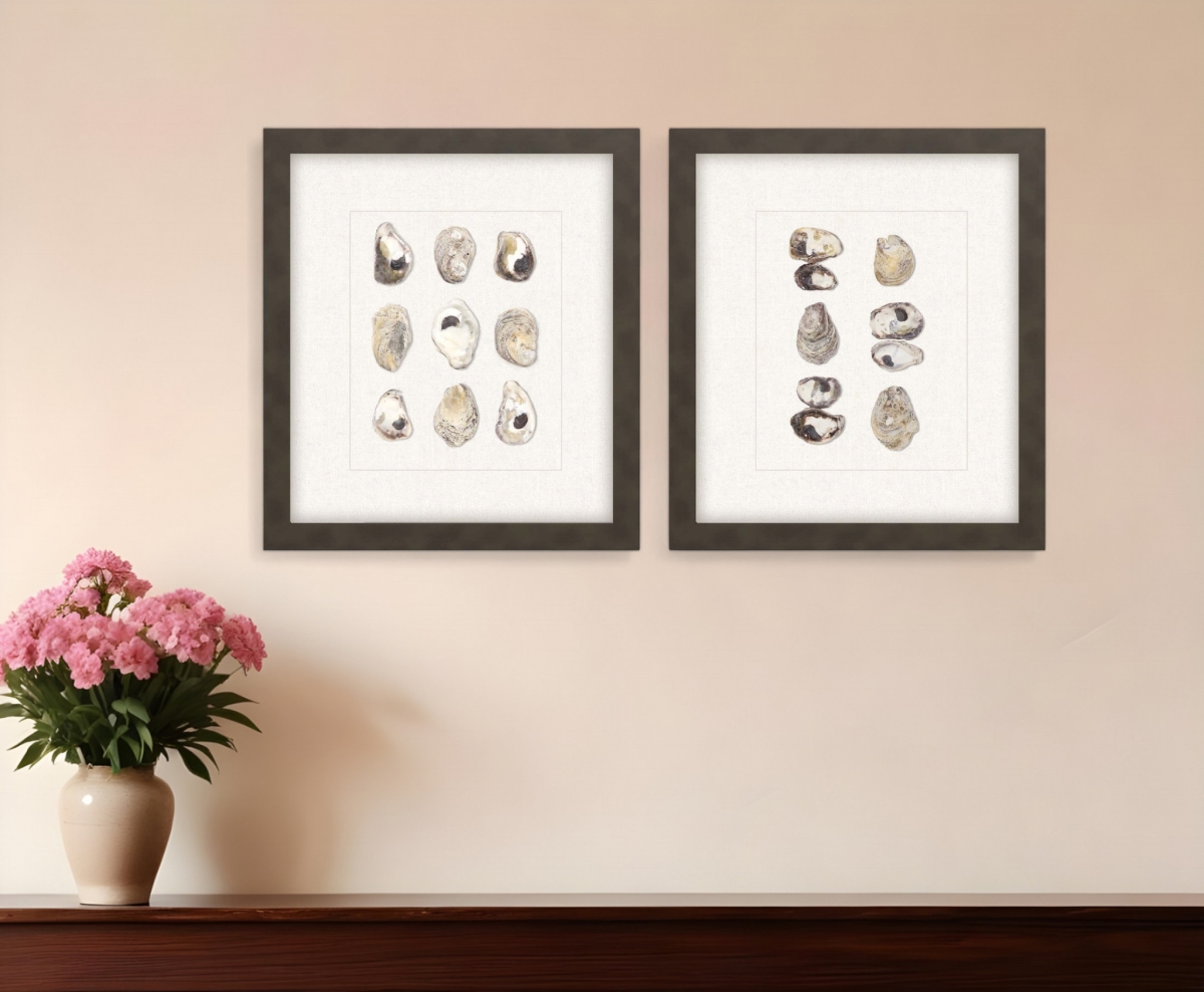 526962 Shell Series Brown Framed Print Wall Art, Set of 2